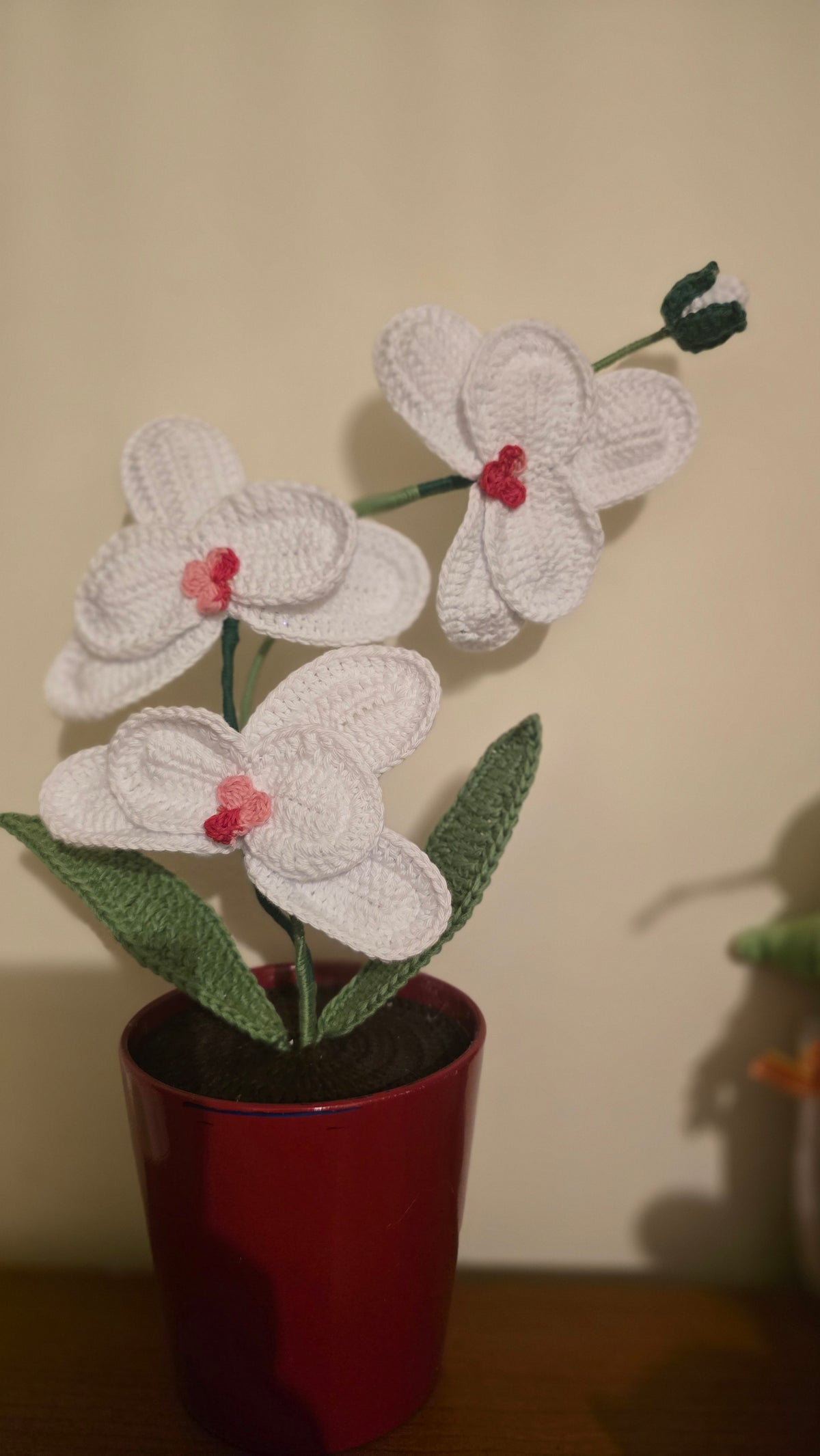 Orquídea Amor Eterno