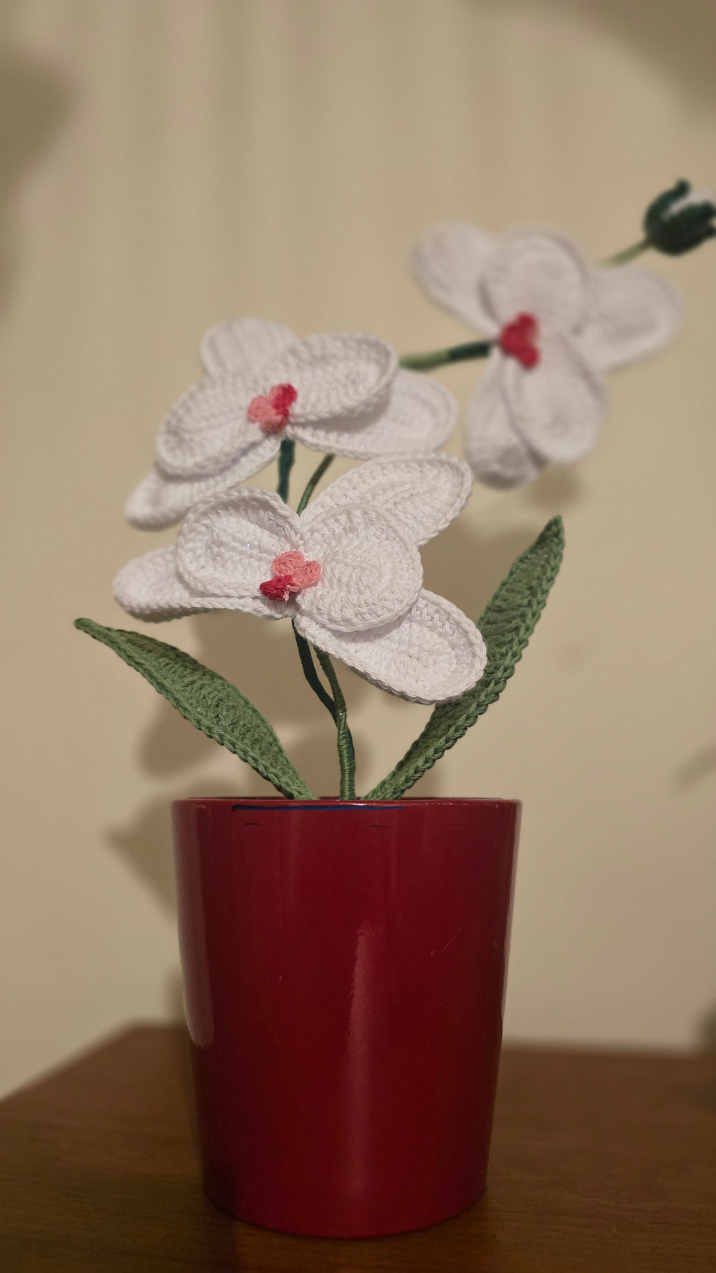 Orquídea Amor Eterno