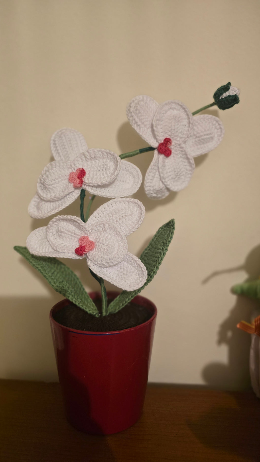 Orquídea Amor Eterno